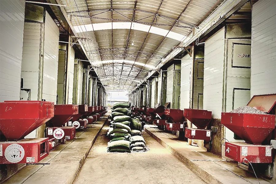 1663295018952970.jpg 7.jpg